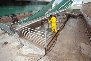 Nettoyeur haute pression HD 16/15-4 Cage Plus