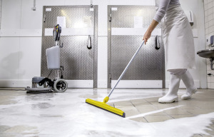 Raclette à eau 75 cm