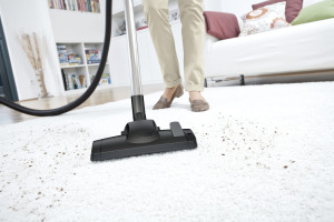 Aspirateur avec filtration par eau DS 6 Premium
