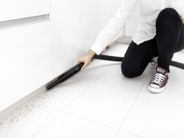 Aspirateur VC 2 Premium (blanc)