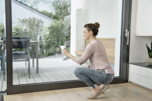 Window Vac WV 1 Premium