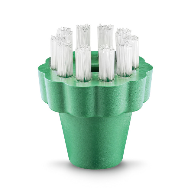 Brosse ronde, vert, Pekalon