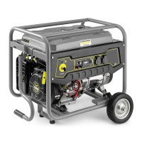 Elektrische generator PGG 3/1