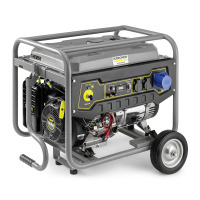 Elektrische generator PGG 6/1