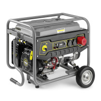 Elektrische generator PGG 8/3