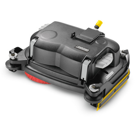 Borstelkop D 55
