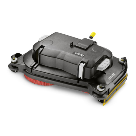 Borstelkop D 65