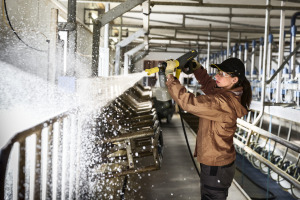 Schuimreinigingsmiddel, alkalisch, RM 91 Agri
