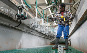 Hogedrukreiniger HD 10/21-4 ST