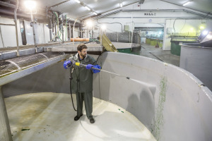 Hogedrukreiniger HDS 8/18 -4 St EU-I