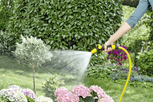 PrimoFlex® hose 1/2" - 15 m