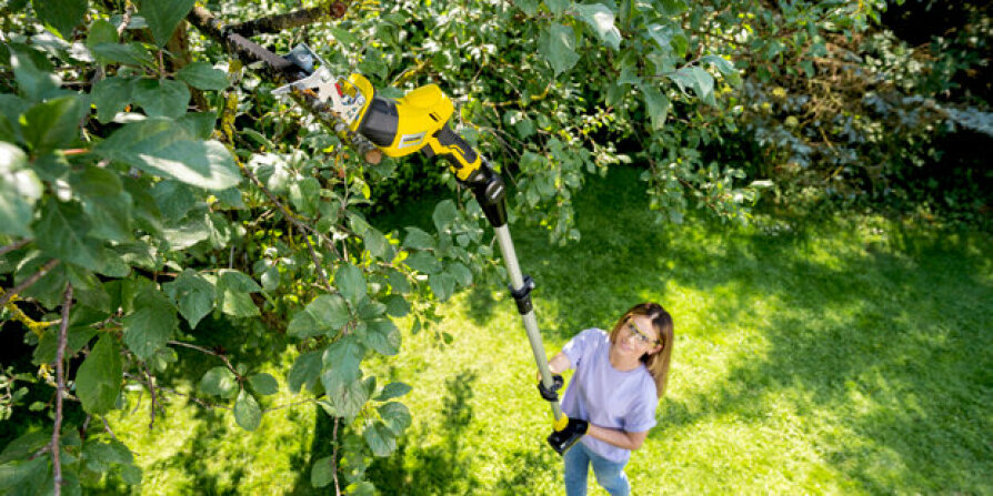 Draadloze takkenschaar en snoeizaag