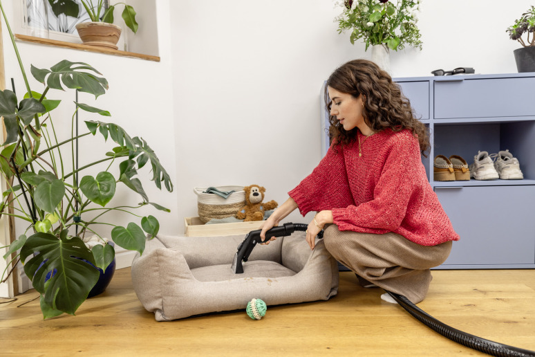 Sproei-extractiereiniger SE 6 Signature Line