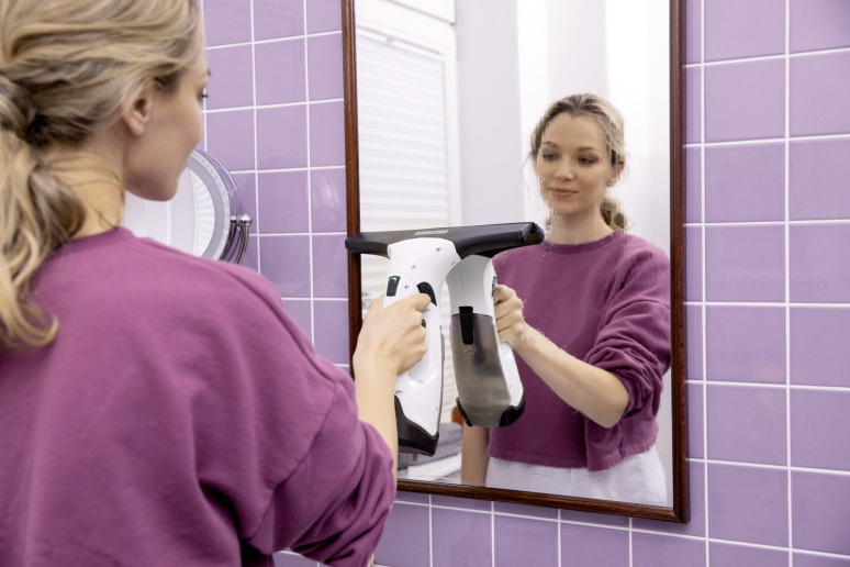 Window Vac WV 2 Plus N