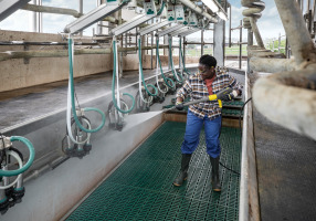 Nettoyeurs haute pression D 17/15-4 St