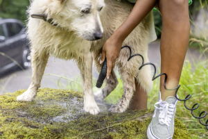 Sac à accessoires Pet