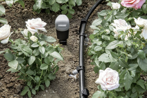 Tampon de remplacement pour capteur Senso Timer