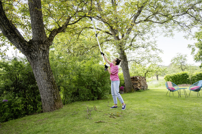 Coupe-branches à batterie TLO 2-18