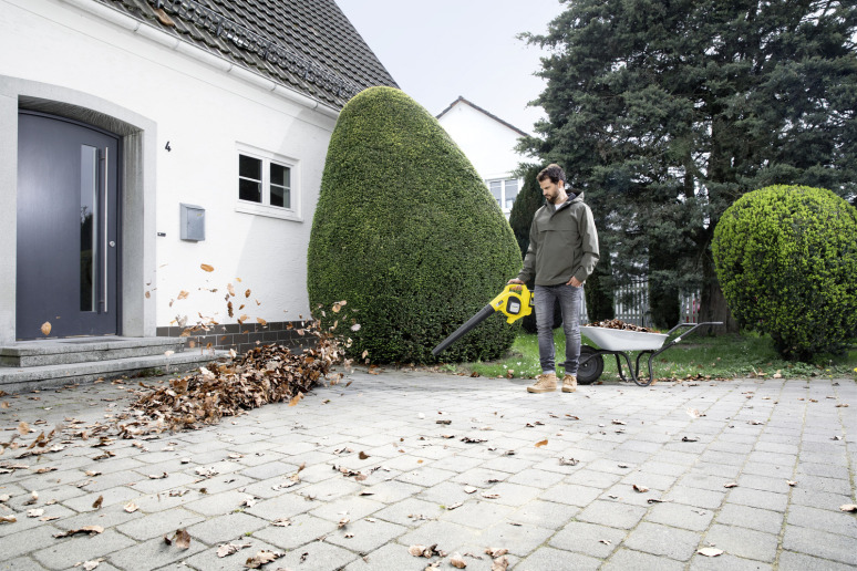 Souffleur de feuilles à batterie LBL 4 avec batterie